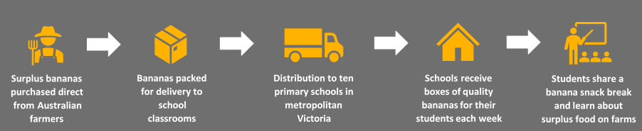 How did Fruit Box Fridays work? 1) Surplus bananas were purchased direct from Australian farmers; 2) Bananas were packed for delivery to school classrooms; 3) Bananas were distributed to ten primary schools in metropolitan Victoria; 4) Schools received a weekly delivery of bananas; 5) Students shared a weekly banana snack break and learned about surplus food on farms