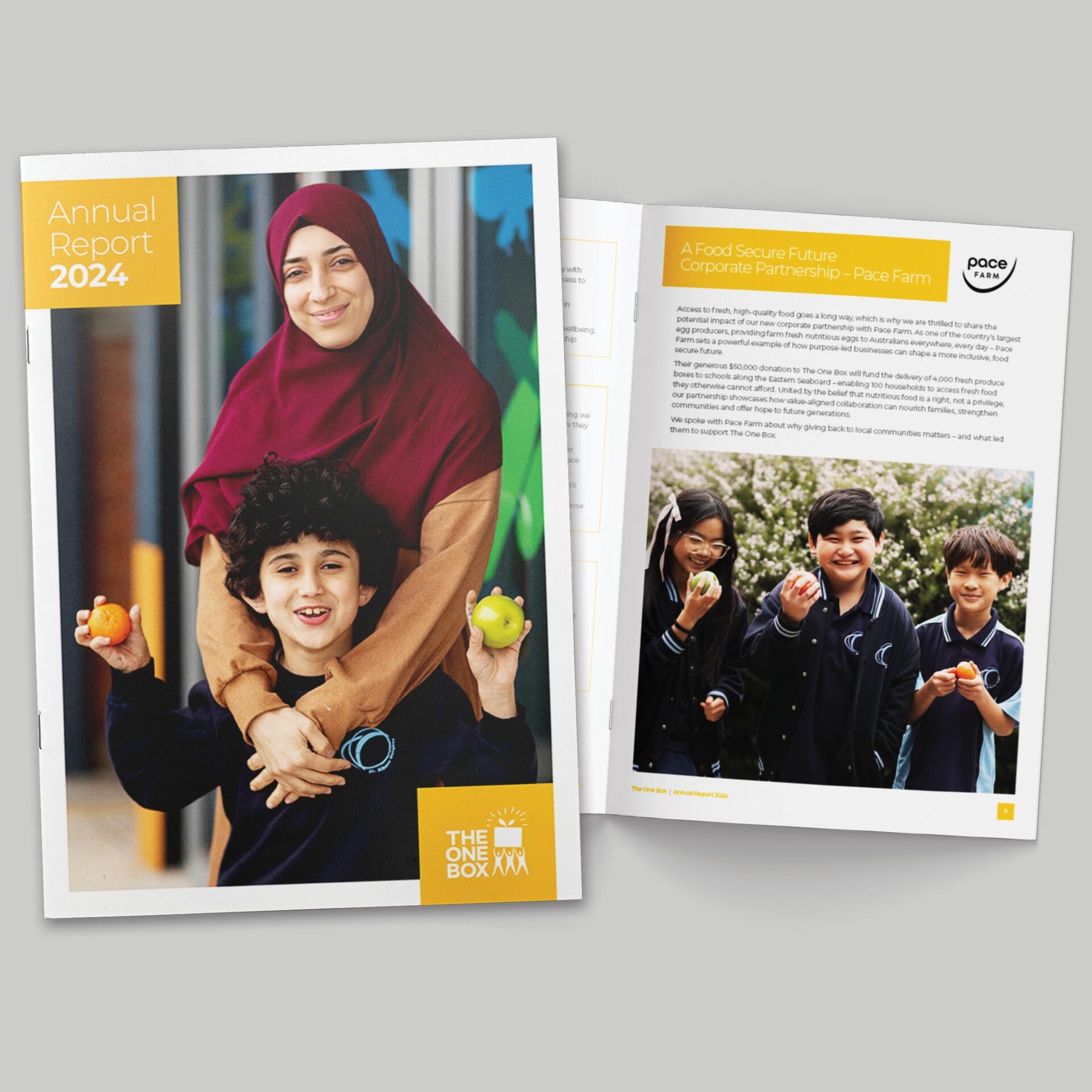 The One Box Annual Report 2024