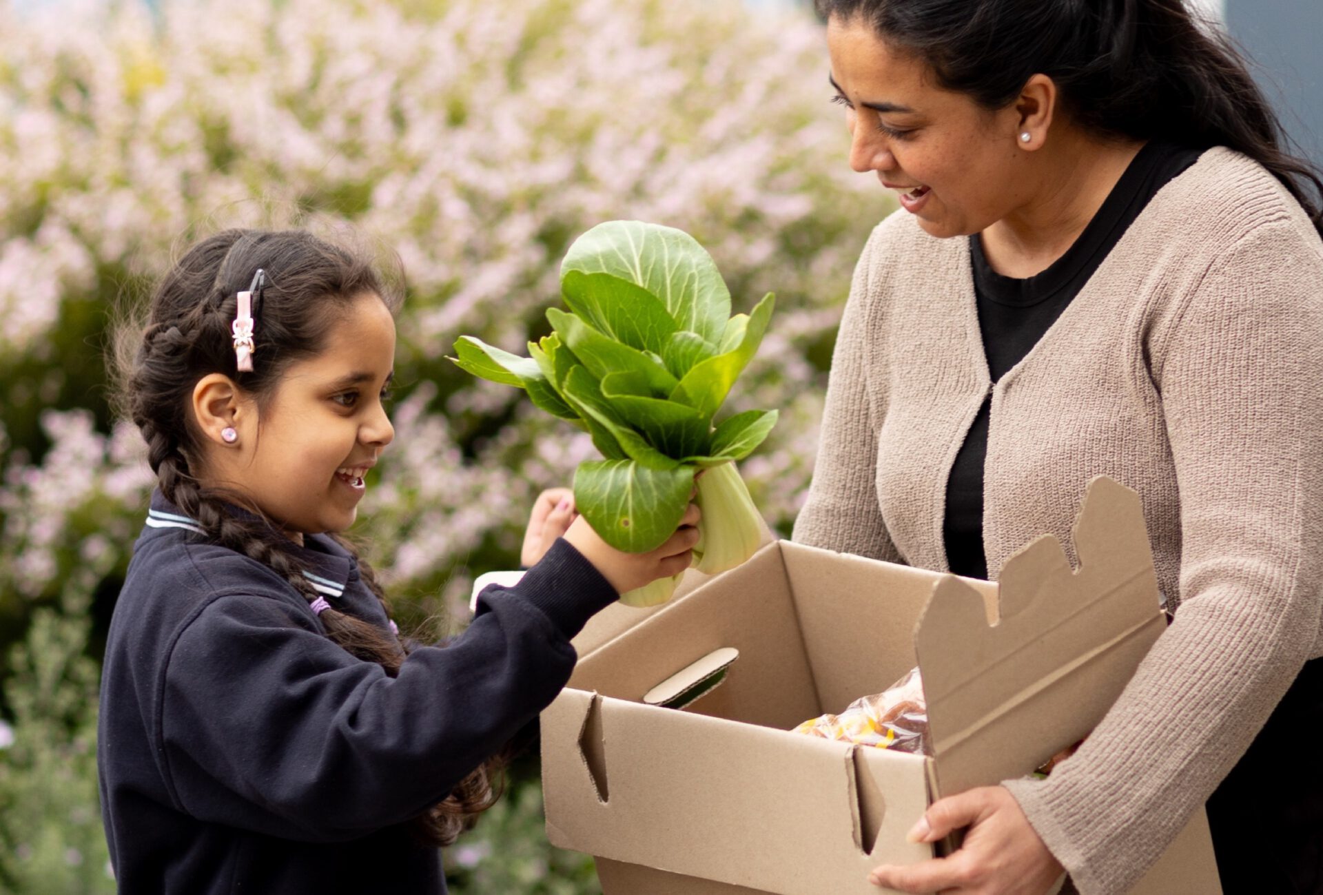 A family collecting a fresh food box at school