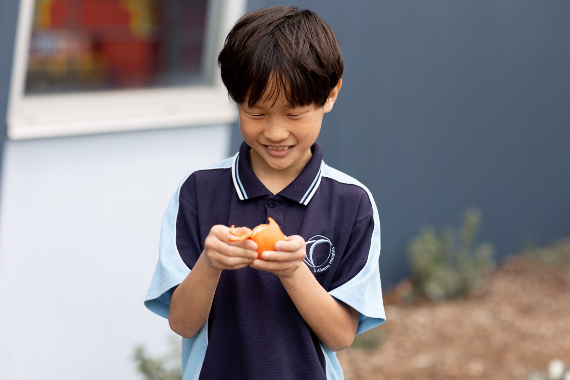 A schoolboy peeling an orange